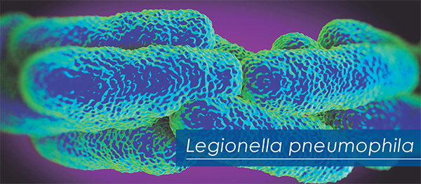 PREVENCIÓN DE LA LEGIONELLA 1 - Huelva DDD