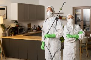 Blog 20 tratamiento ecologico vs tratamiento tradicional