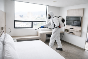 Control de plagas en apartamentos turísticos: Evita reseñas negativas en la Costa de la Luz